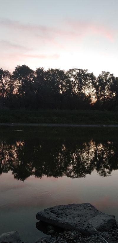 scarlett_envy thumbnail