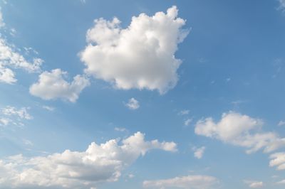 BloomieBuu thumbnail