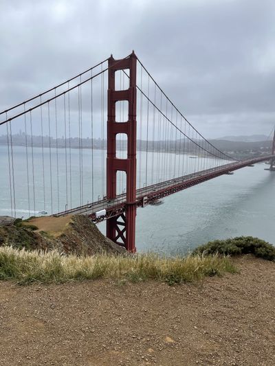 Mark The Chub thumbnail