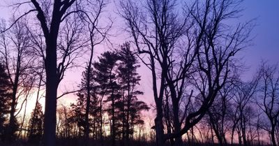 something_else13 thumbnail