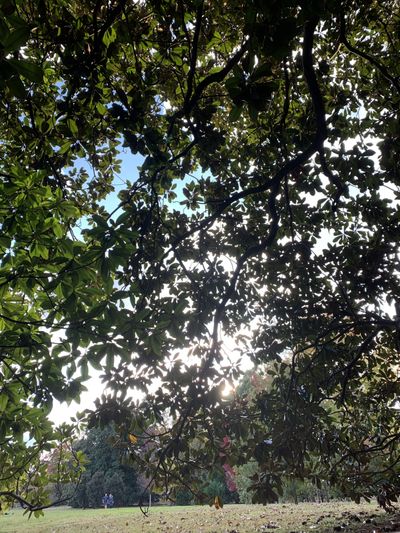 lewdbehavior thumbnail