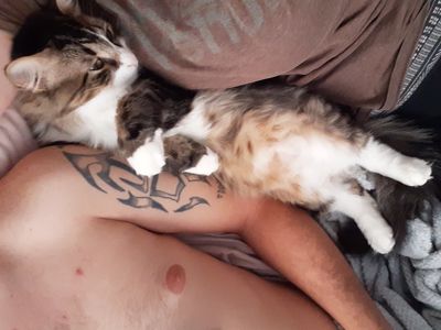 mrbalmbastic thumbnail