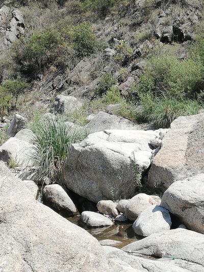 tomasalvaro thumbnail