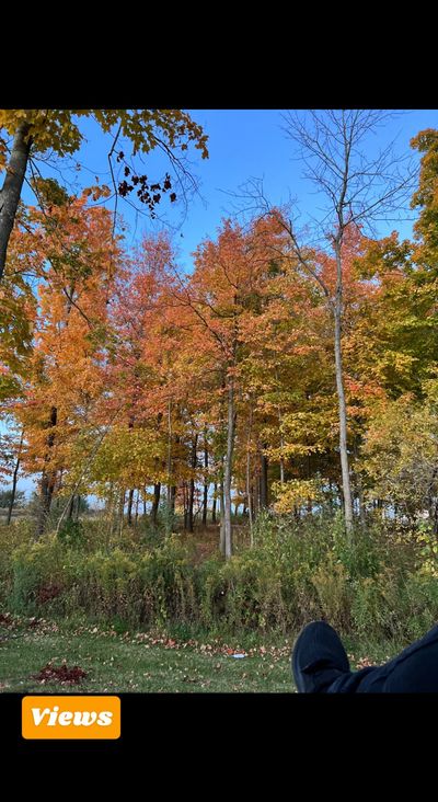 Jerry Sprunger thumbnail