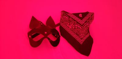 cachorroxxxs thumbnail