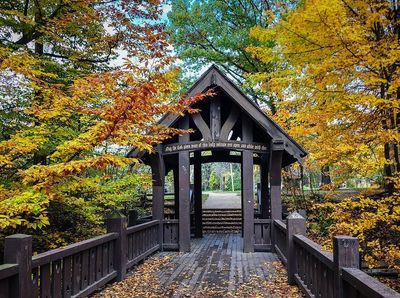 alyxcadence thumbnail