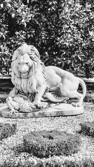 blvck.fvns thumbnail