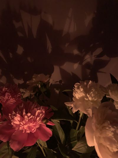 u168591462 thumbnail