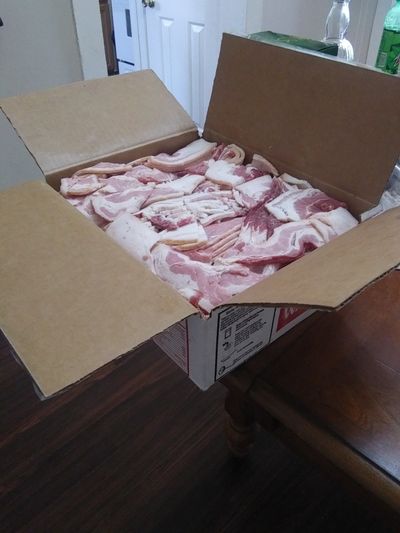 Borderlander profile