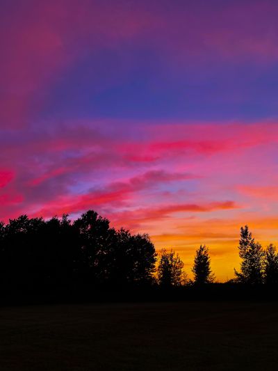 sweetpeaaach1 thumbnail