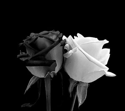 snowbunny98 thumbnail