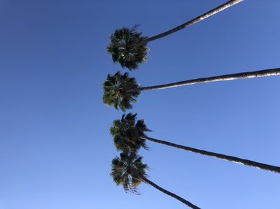 bannerwood thumbnail