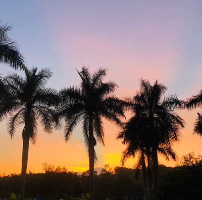 Babyglass ❤️‍🔥 thumbnail