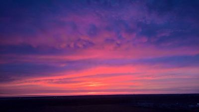 Summer_Gold thumbnail