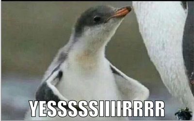 soloseeeeesh85 thumbnail