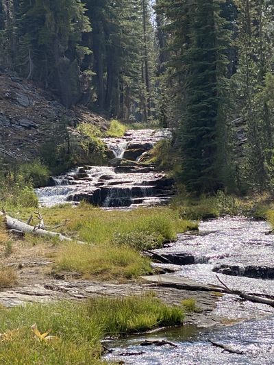 yojohonson thumbnail